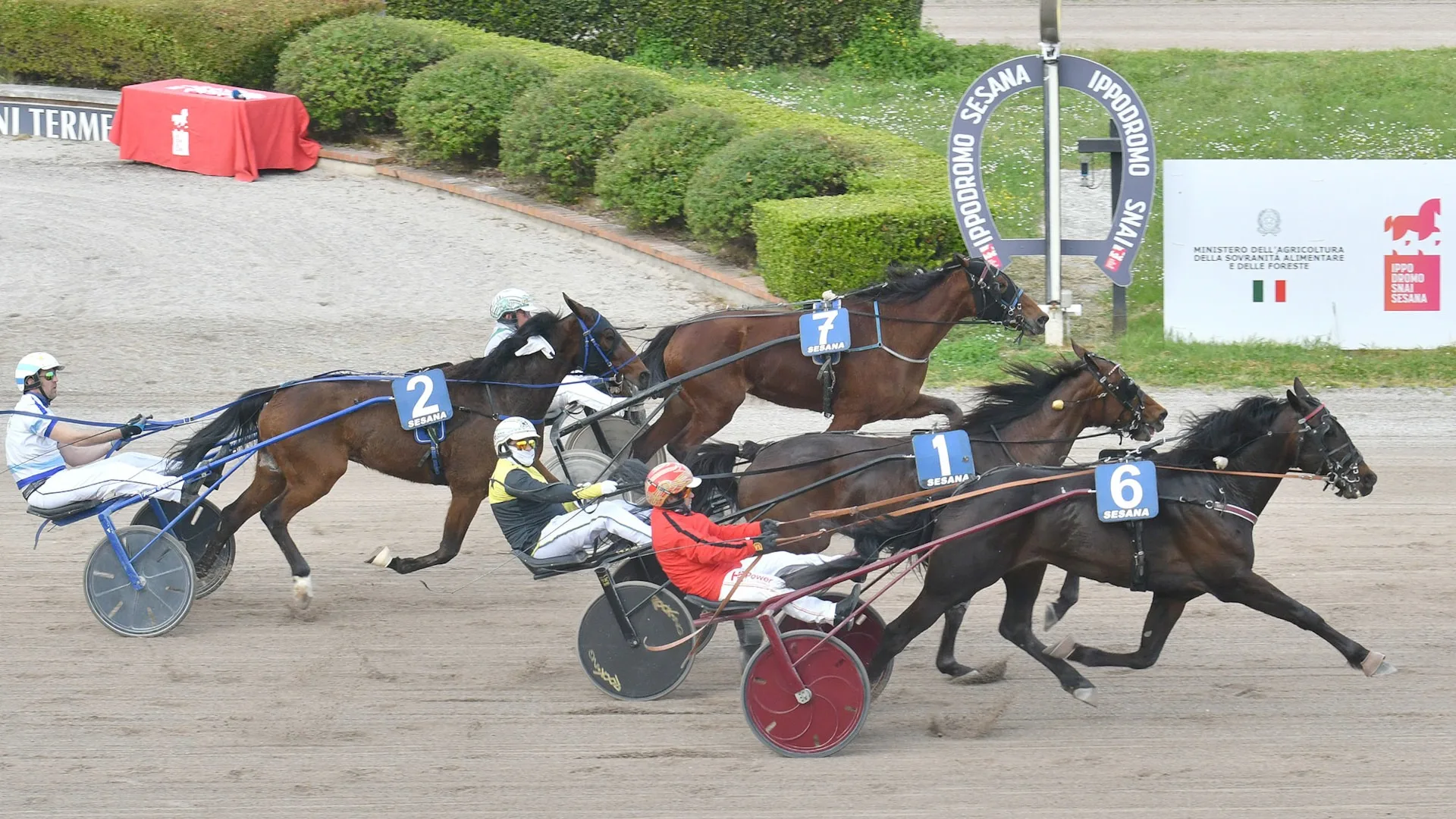 Ippica, Ippodromo Snai Sesana: lunedì ultima riunione della 111^ stagione con otto corse, in evidenza il TQQ del Premio Mauro Gazzarrini