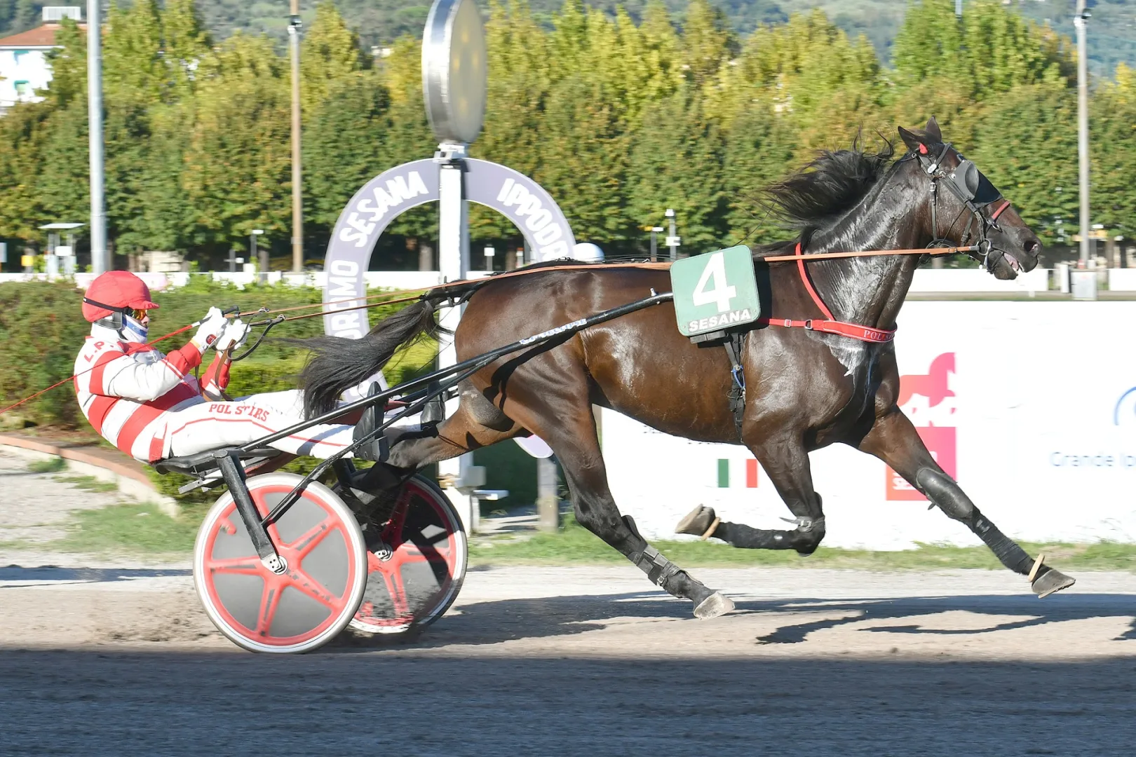 Ippica, ultima stagionale all’Ippodromo Snai Sesana con la TQQ del Premio Gazzarrini all’outsider Fiore Cla