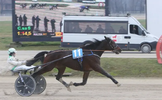 Ippica, domenica all'Ippodromo Snai La Maura con la seconda riunione di corse del nuovo anno: occhi puntati sul Premio Aligero
