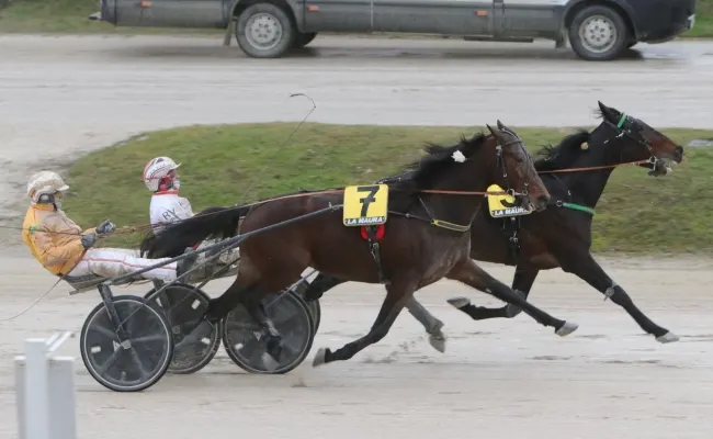 Ippica, domenica all’Ippodromo Snai La Maura con una nuova giornata di trotto. Al via dalle ore 13:55