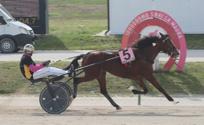 Ippica, all’Ippodromo Snai La Maura di Milano venerdì con sette prove e il Premio Uxia Ek dalle ore 14:55
