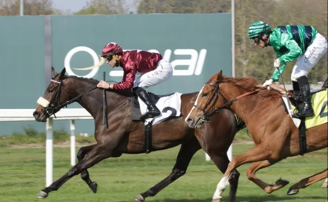 Ippica, all’Ippodromo Snai San Siro corse del mercoledì con i circuiti San Siro Classic, Sprint e Mile e poi il Premio Atena. Sei prove a partire dalle ore 14:35