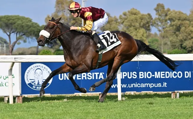 Ippica, Capannelle: il 1° maggio le grandi classiche Regina Elena, Parioli e Botticelli. Torna a Capannelle il leggendario Frankie Dettori