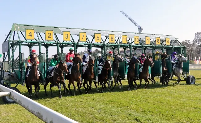 Ippica, super mercoledì all’Ippodromo Snai San Siro di Milano: tre prove ‘condizionate’ e ampio spazio ai cavalli di 3 anni. Da non perdere il premio BBag