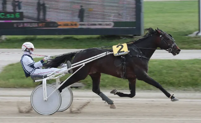 Ippica: venerdì all'ippodromo Snai La Maura di MIlano con una nuova giornata di trotto, al via alle ore 14:50 con il Premio Dimitri Ferm