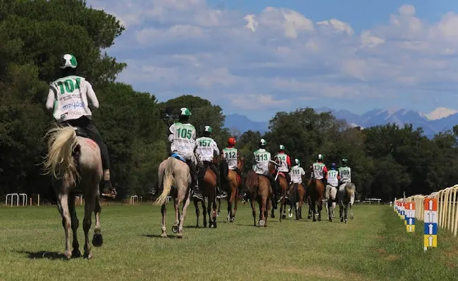 Equitazione, endurance: Campionato del Mondo di Butheeb. All’Italia il bronzo