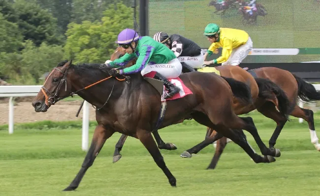 Ippica: mercoledì all’Ippodromo Snai San Siro di Milano le corse al via dal tardo pomeriggio, aspettando le Oaks d’Italia di domenica