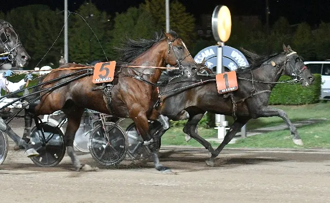 Ippica: sabato all’Ippodromo Snai Sesana con una serata di trotto e un concerto speciale in omaggio a Lucio Battisti