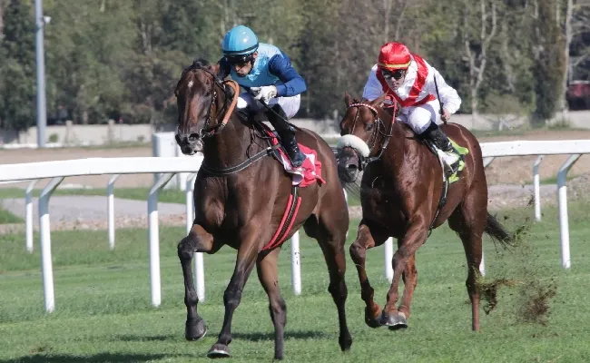 Ippica: all’Ippodromo Snai San Siro è domenica solo per Que Tempesta che batte Tempesti nel Premio Riccardo Zanocchio. Nel Premio Brivio Sforza brilla Beirut, nel Castellini s’impone Sean