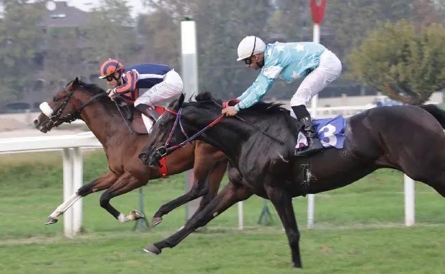 Ippica, il mercoledì all’Ippodromo Snai San Siro vede brillare Calm Reef nel Premio Dormelletto, mentre nel Premio Cottomouth meritato successo di Zittella