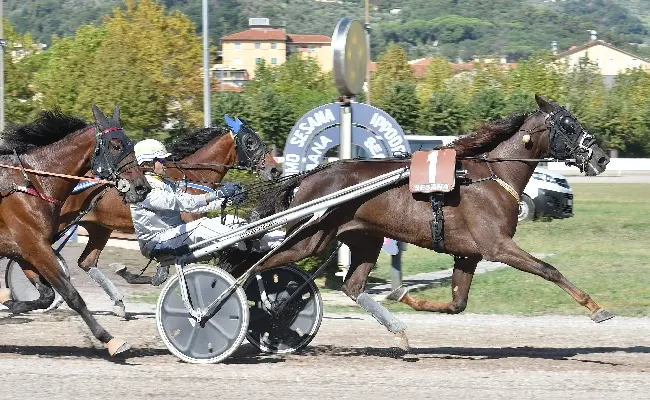 Ippica, ultima stagionale all’Ippodromo Snai Sesana con Gocciadoro e Funny Gio che vincono il “Premio Il futuro dell’ippica” e con un bilancio positivo nel 2023 per le corse e il pubblico