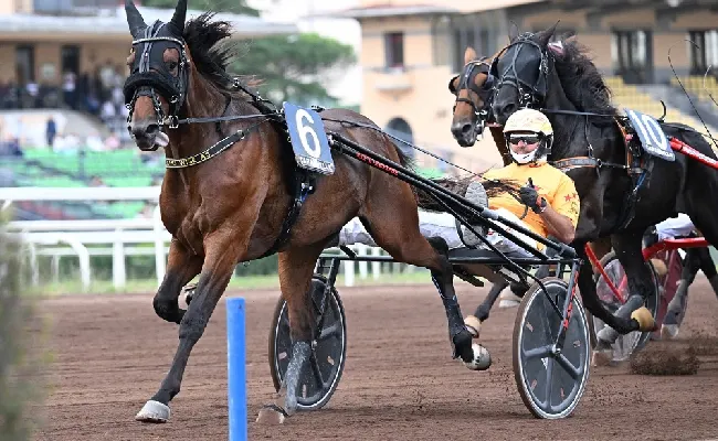 Ippica, su Betflag Derby e Oaks: domenica è festa a Capannelle