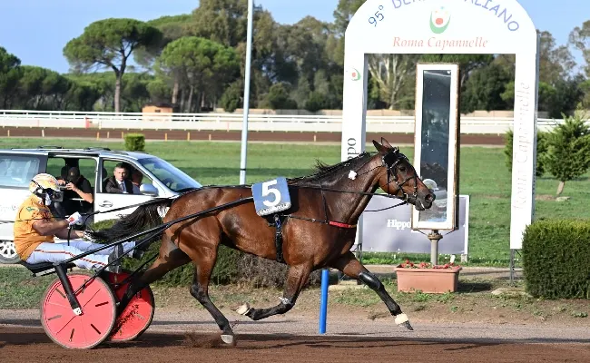 Ippica: weekend al trotto a Capannelle. Domenica 8: 96° Derby Italiano e Oaks del Trotto