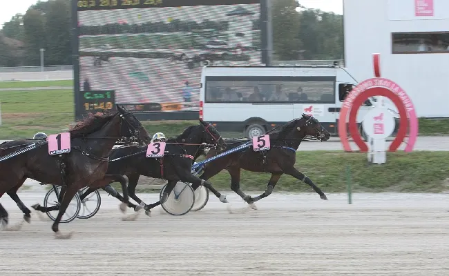 Ippica: all'ippodromo Snai La Maura, nel mercoledì riservato ai gentlemen, successo e record di Ermes Caf nel Premio Ippoterapia