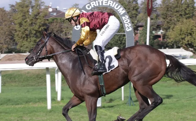 Ippica: all’Ippodromo Snai San Siro, sabato spettacolare con in pista il Premio Carlo Porta, il Madonnina e il Castello Sforzesco