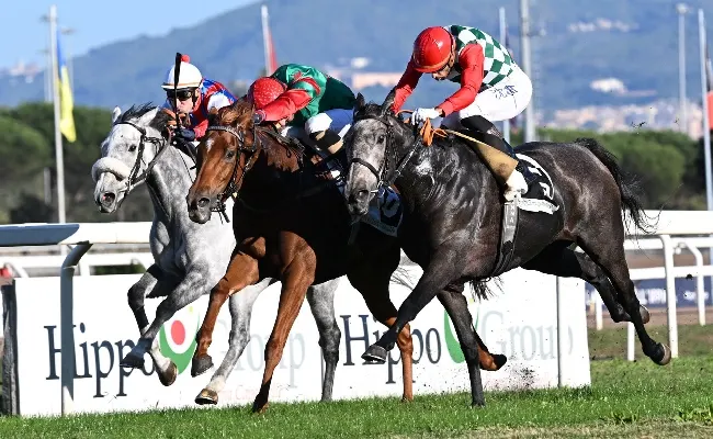 Ippica, domenica 29 ottobre a Roma Champions Day, la grande festa del turf. Nel Lydia Tesio al via anche Estrosa, la cavalla di Max Allegri