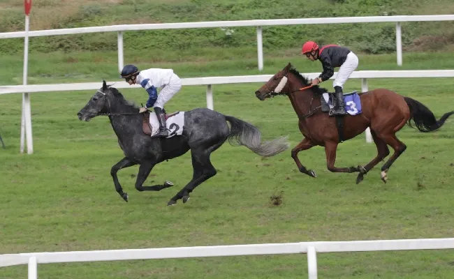 Ippica: All’ippodromo Snai San Siro il gran sabato di galoppo ha visto Rainmaker vincere il premio Carlo Porta, mentre nel Madonnina e nel Castello Sforzesco hanno primeggiato Dolce Napoli e Blu Note