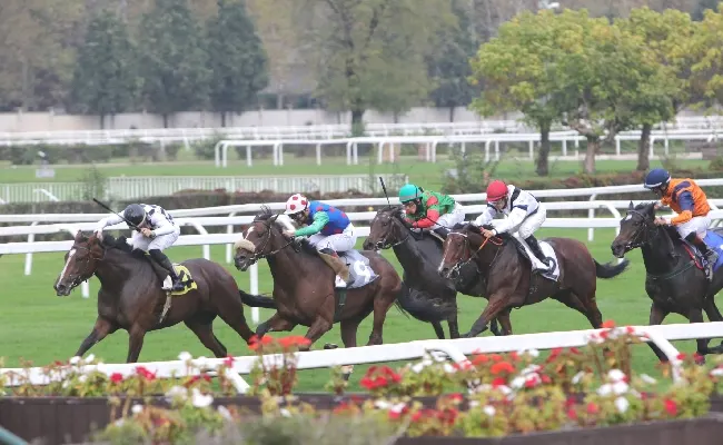Ippica, all’Ippodromo Snai San Siro il mercoledì di galoppo dedicato ai cavalli di 2 anni. Occhi puntati sulle due Maiden valide per il Premio Pensierieparole e il premio Lavinia Fontana