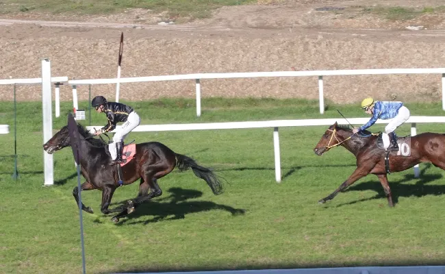 Ippica: all’Ippodromo Snai San Siro mercoledì con la sorpresa di Excellent Drago nella maiden maschile per il Premio Pensierieparole, mentre nel femminile Shady Creek combatte e vince nel Premio Lavinia Fontana