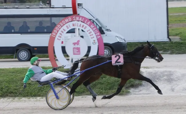 Ippica, all’Ippodromo Snai La Maura di Milano venerdì di trotto con sette prove tra cui il Premio Desiderio d’Esi