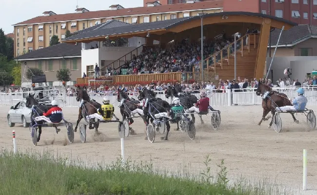 Ippica: domenica all’Ippodromo Snai La Maura di Milano “prima” di dicembre con il premio Cash Bank Bigi e la beneficienza nel trofeo Onlus Milano