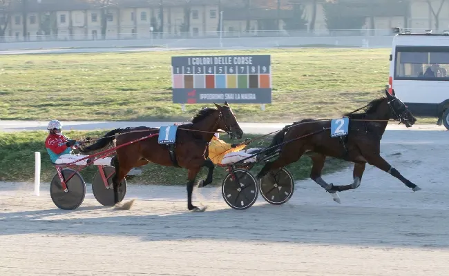 Ippica, all’Ippodromo Snai La Maura brava Faymonville St a vincere il Premio Cash Bank Bigi, clou della prima domenica di dicembre