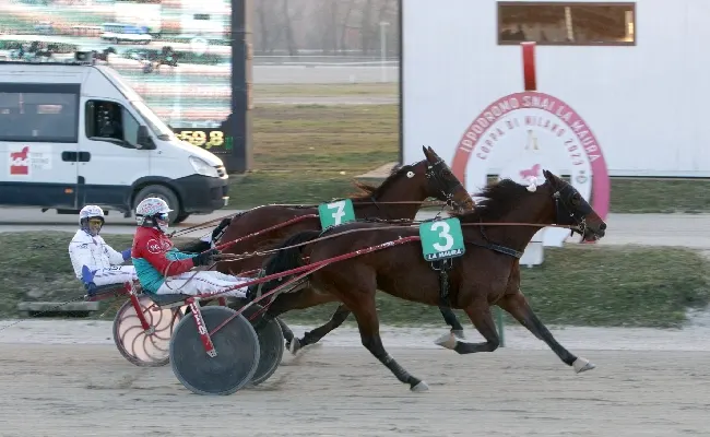 Ippica: domenica all’Ippodromo Snai La Maura con la 2^ giornata di trotto. In pista con sette corse a partire dalle ore 12:50