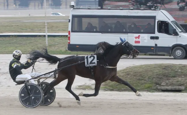 Ippica, all’Ippodromo Snai La Maura di Milano una bella domenica di trotto con sette prove a partire dalle ore 12:50