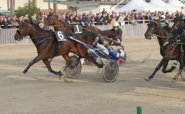 Ippica, mercoledì all’Ippodromo Snai La Maura di Milano nuova giornata di trotto con il Premio Scuderia Bruni e Osti. Al via dalle ore 13:20