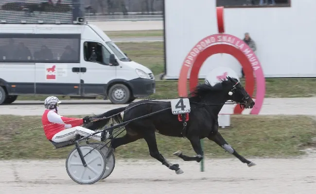 Ippica: domenica all’Ippodromo Snai La Maura la “prima” di febbraio con le corse a partire dalle 13:40 e l’animazione per famiglie