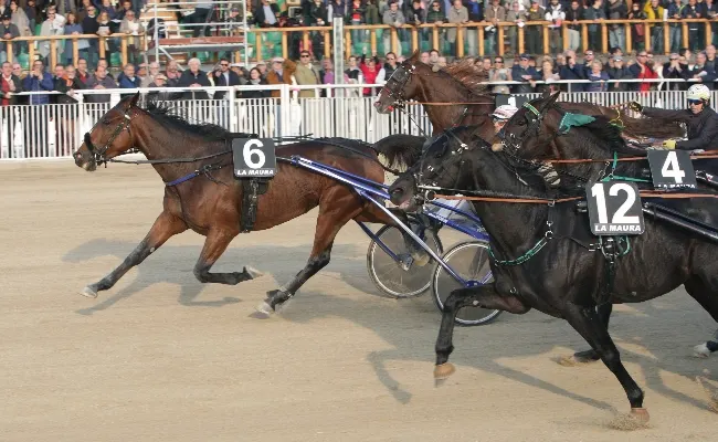 All'Ippodromo Snai La Maura domenica di trotto e animazione per bambini e famiglie. Cancelli aperti dalle 12.50, in pista sette corse al via dalle 14.05