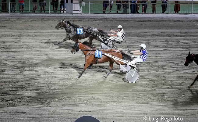 Ippodromo Cesena Trotto, il Premio Equos e il resoconto delle corse di sabato 13 luglio 2024
