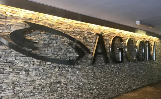 Divieto di pubblicità ai giochi, Capitanio (Agcom) su sanzioni a influencer: "Siano da monito per tutti"