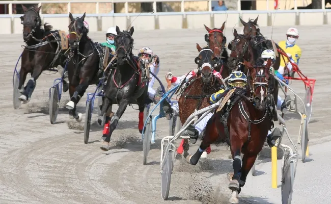 Ippica, domenica 20 ottobre otto corse all’Ippodromo di Bologna
