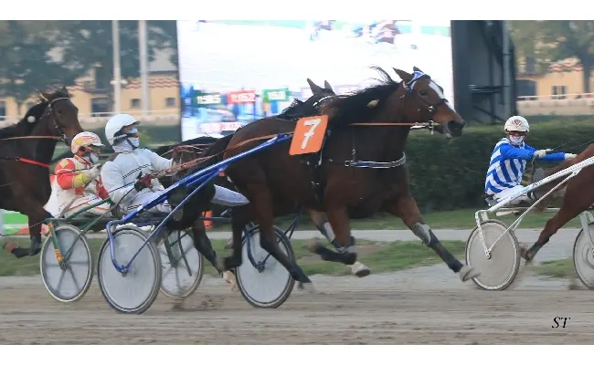 Ippica, domenica 10 novembre all’ippodromo di Bologna in pista nel nome della Famiglia Canali-Veneziani