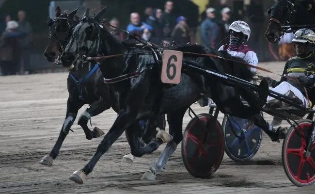 Ippica, Ippodromo Arcoveggio Bologna: domenica 22 dicembre le Finali dei Tornei “Croce Rossa Italiana” e “Gentlemen 4 Life”