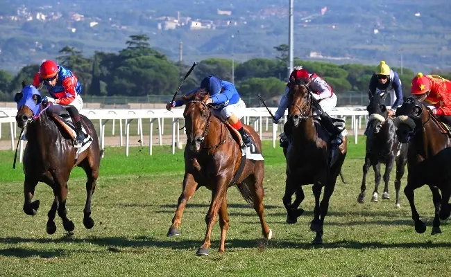 Ippica, lunedì 17 febbraio riprendono le corse all'Ippodromo Capannelle