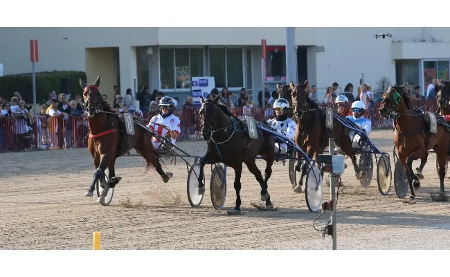 Ippica, Ippodromo Arcoveggio Bologna: resoconto delle corse di giovedì 6 marzo