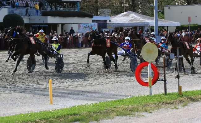 Ippica, Ippodromo Arcoveggio di Bologna: a Glory Winner il GP Italia divisione femminile, a Gandhi Mail quella maschile