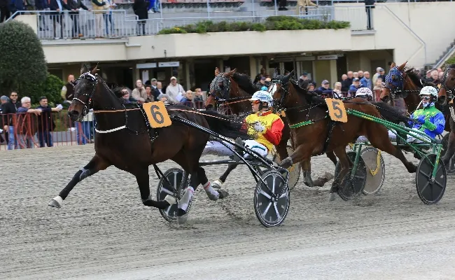 Ippica, all’Ippodromo di Bologna, giovedì 3 aprile otto corse con la TQQ abbinata a València Turisme