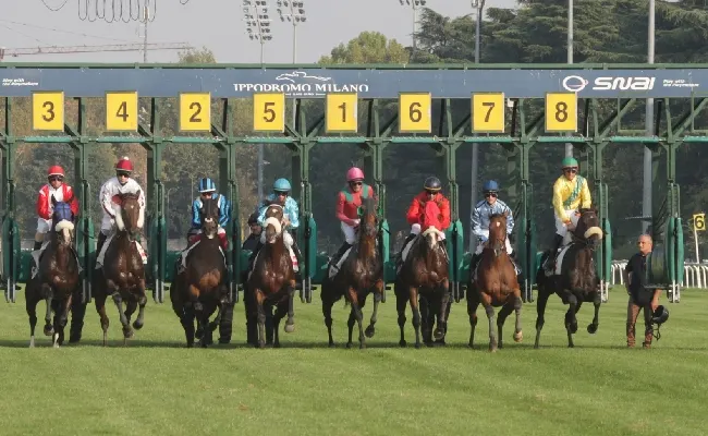 Ippica, mercoledì di galoppo con sette corse all’Ippodromo Snai San Siro: tre maiden e quattro handicap per la 7^ giornata stagionale a Milano