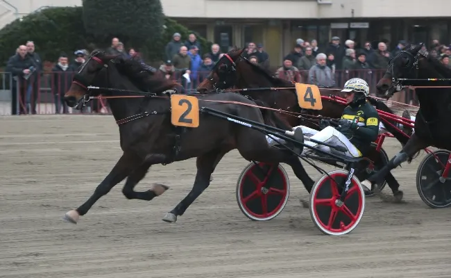 Ippica: all’ippodromo di Bologna, venerdì 19 aprile Zaccherini favorito nelle prove gentleman, Gravina Mf cerca il successo nel Premio Franco Marani