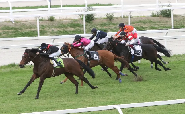 Ippica, lunedì in pista all'Ippodromo Snai San Siro per il recupero della 12^ di galoppo annullata sabato 26. Sette corse con sei prove handicap e un maiden
