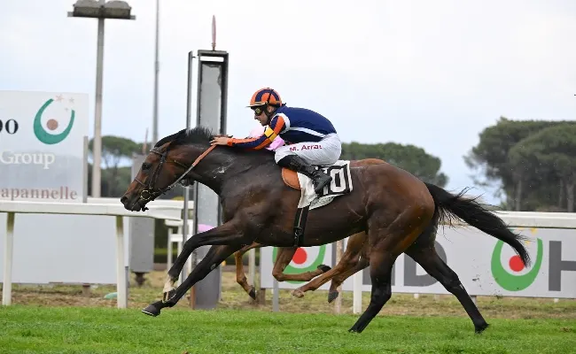 Ippica, Ippodromo Capannelle: domenica 4 maggio al galoppo