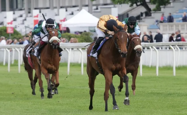 Ippica, all'Ippodromo Snai San Siro è l'ora del premio Bereguardo-Trofeo Sirlad, del Mario Incisa della Rocchetta e del premio Nogara. Sabato top con l'animazione, la musica e molto altro