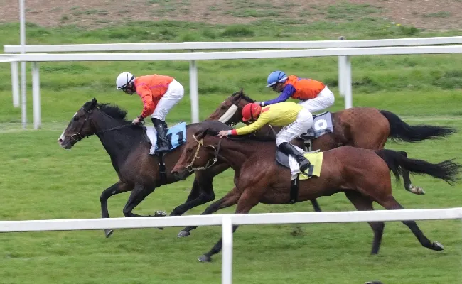 Ippica, all’Ippodromo Snai San Siro mercoledì molto interessante di galoppo con gli attesi debuttanti in pista per il Premio Mimma Werner e il Premio Razza Ceserio. E poi l’handicap limitato per il Premio Scuderia San Michele