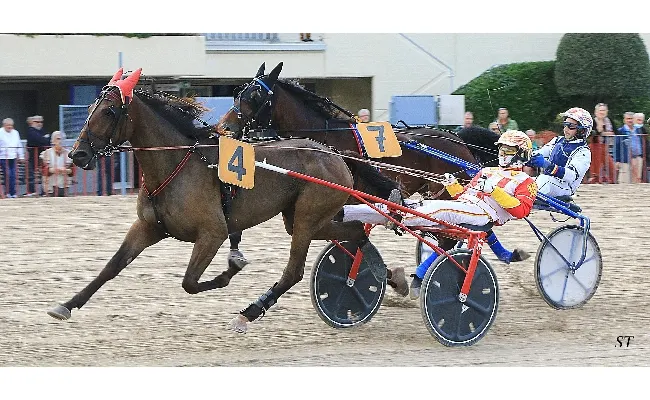 Ippica, Ippodromo Arcoveggio Bologna: giovedì 22 maggio con tre e quattro anni dalle mire classiche, al termine TQQ