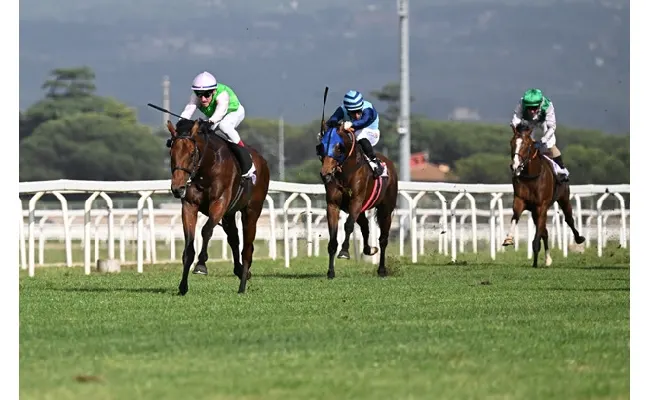 Ippica, Ippodromo Capannelle di Roma: la "divina" Klaynn sfida i maschi nel 142° Derby Italiano di Galoppo. Al via anche Became Good, cavallo di Max Allegri