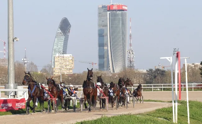 Ippica: all’Ippodromo Snai San Siro il venerdì di trotto per la penultima stagionale con Fruttosio, Go Princess Horse ed Elleboro Dr per il tris d’autore per Pietro Qubellini. Sabato 7 il Gran Premio Nazionale e il Gran Premio Nazionale Filly