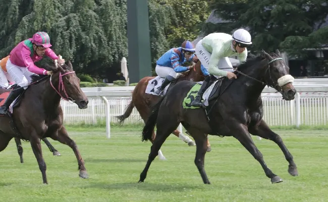 Ippica, all’Ippodromo Snai San Siro primo giugno pieno di emozioni: arrivo al fotofinish di Speed Trap nell’ultima eliminatoria San Siro Sprint. Sigilli di Love Ya e di Emperor Jade nei premi Ippodromo di Adana e Ippodromo del Casalone